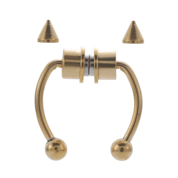 MAGIC MAGNETIC SEPTUM RING